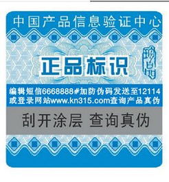 信息系统集成服务 构建智慧未来的桥梁